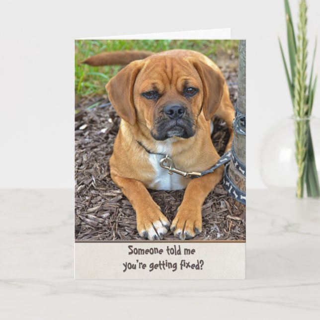 Tarjeta Humor de vasectomía (Anverso)