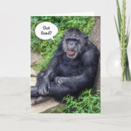 Tarjeta Humor de vasectomía con chimpancé