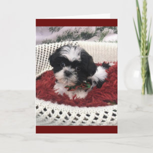 TARJETA HUMOR DEL "CUMPLEAÑOS 50" DE LA MÁS CUTIBLE DE LA 