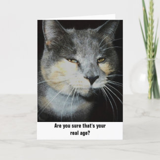 Tarjeta Humor del gato del cumpleaños