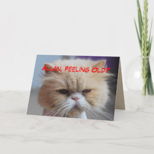 Tarjeta Humor del gato persa del cumpleaños de Allan