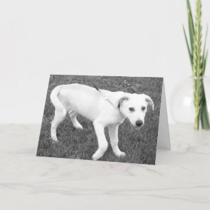 Tarjeta Humor/Pensamiento en usted en el laboratorio amari