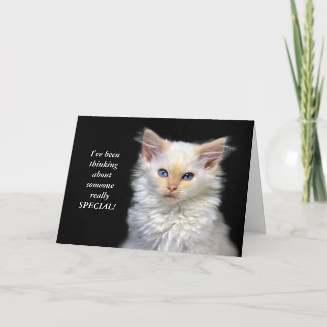 Tarjeta Humor siamés del cumpleaños del gatito (Anverso)
