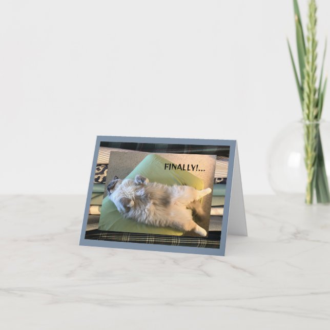 Tarjeta Humorístico, divertido y tonto (Anverso)