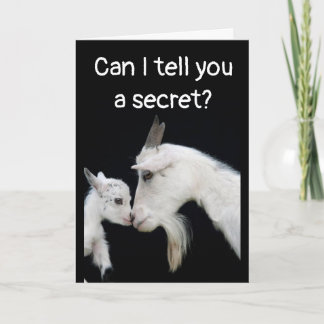 TARJETA HUMOROUS "BELATED" BIRTHDAY NO BUTTS ABOUT IT! CAR