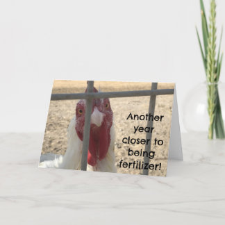 Tarjeta Humorous Old Adult Birthday