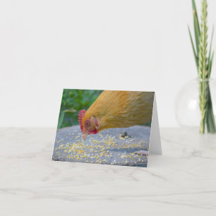 Tarjeta Hungry Chicken Notecard