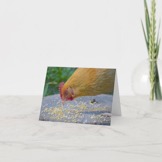 Tarjeta Hungry Chicken Notecard (Anverso)