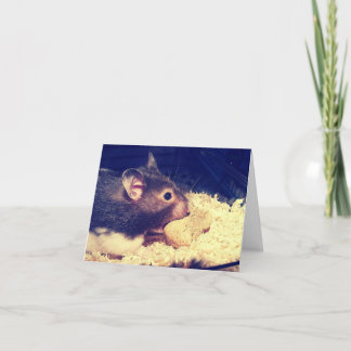 Tarjeta Hungry Hamster Card