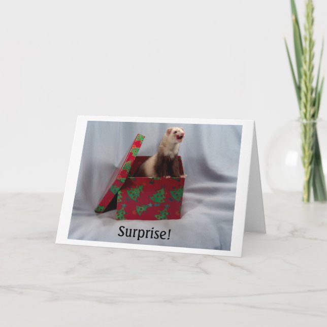 Tarjeta Hurón en una caja Notecards (Anverso)