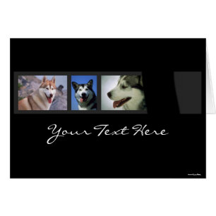 Tarjeta Huskies