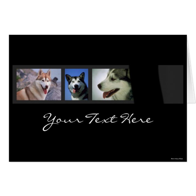 Tarjeta Huskies (Anverso (Horizontal))