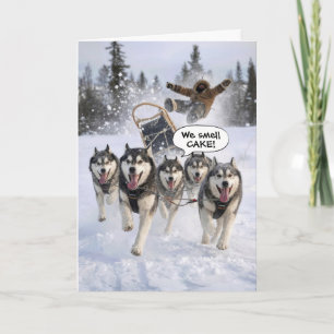 Tarjeta Huskies con humor de cumpleaños tirando de un trin