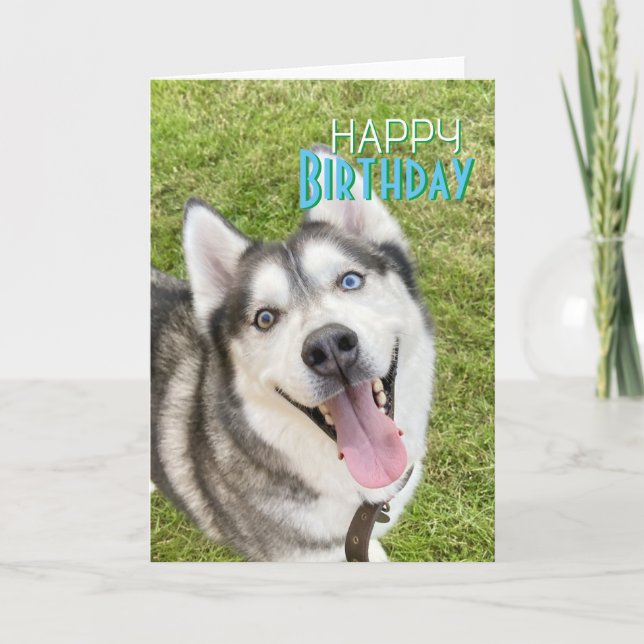 Tarjeta Husky Happy Birday Card dog (Anverso)