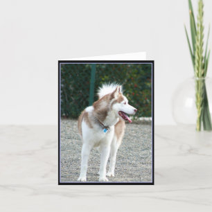 Tarjeta Husky Notecard siberiano