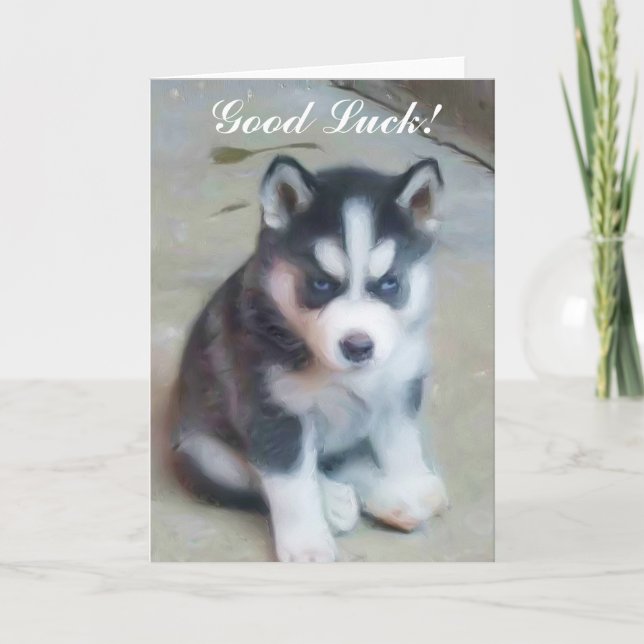 Tarjeta Husky Puppy Siberian (Anverso)