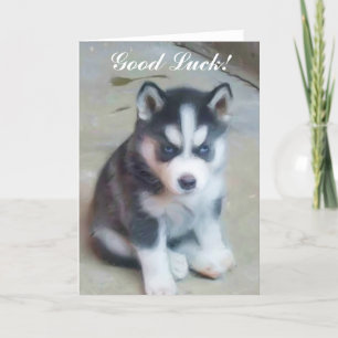Tarjeta Husky Puppy Siberian