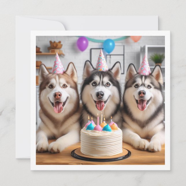 Tarjeta Husky siberiana, tarjeta Husky, cumpleaños (Anverso)