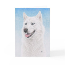 Husky siberiano blanco observado azul