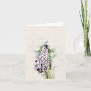 Tarjeta Hyacinth de uva