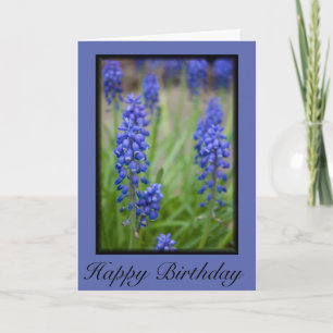 Tarjeta Hyacinth de uva Feliz cumpleaños