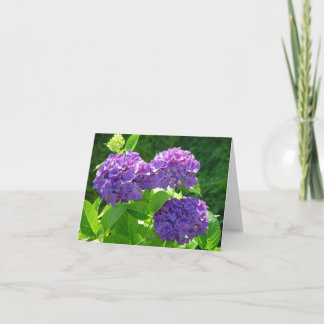 Tarjeta Hydrangea 2