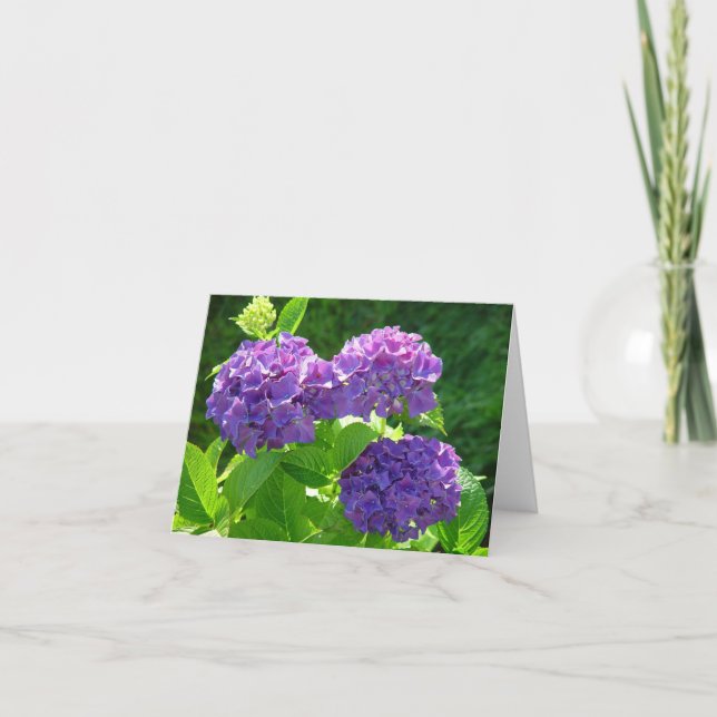 Tarjeta Hydrangea 2 (Anverso)