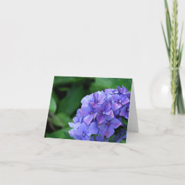 Tarjeta Hydrangea 6893