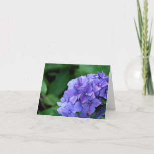 Tarjeta Hydrangea 6893