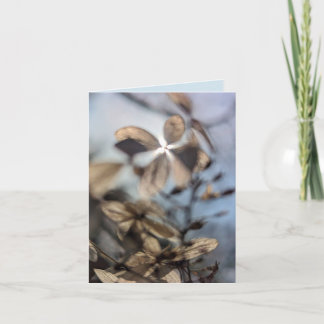 Tarjeta Hydrangea abstracta