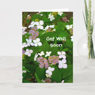 Tarjeta Hydrangea Aspera - Ponte bien pronto