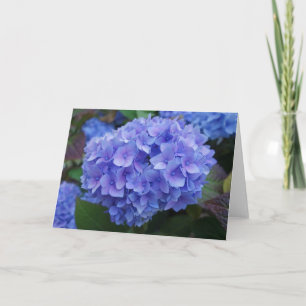 Tarjeta Hydrangea azul