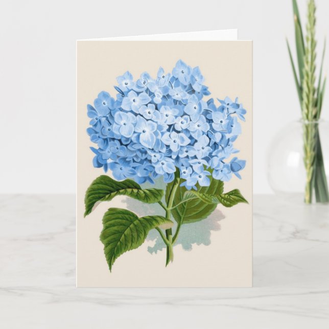 Tarjeta Hydrangea del azul del vintage (Anverso)