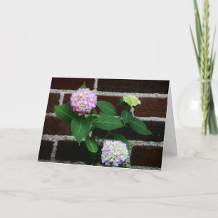 Tarjeta hydrangea en ladrillo