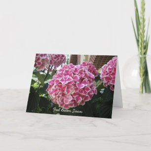 Tarjeta Hydrangea Get Well Card