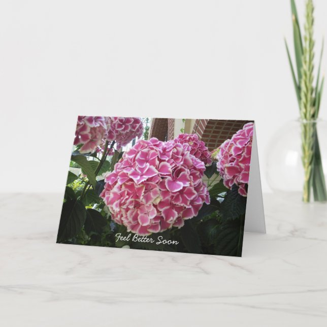 Tarjeta Hydrangea Get Well Card (Anverso)