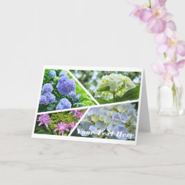 Tarjeta Hydrangea [Greeting Card] カード