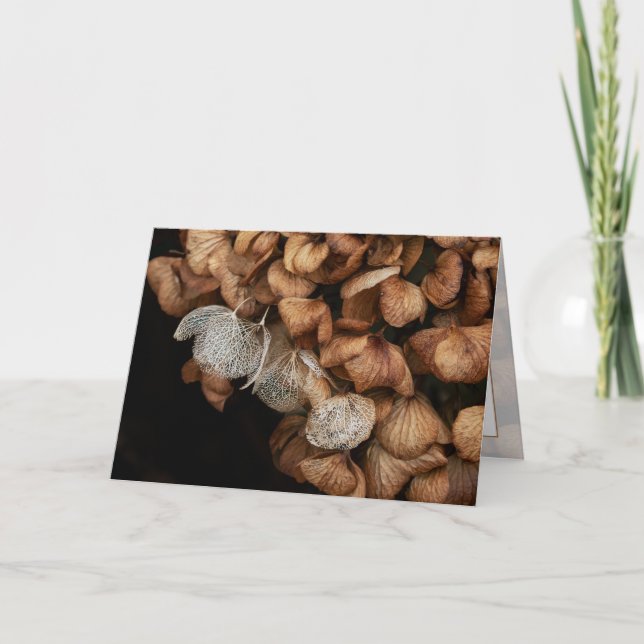 Tarjeta Hydrangea Harta (Anverso)
