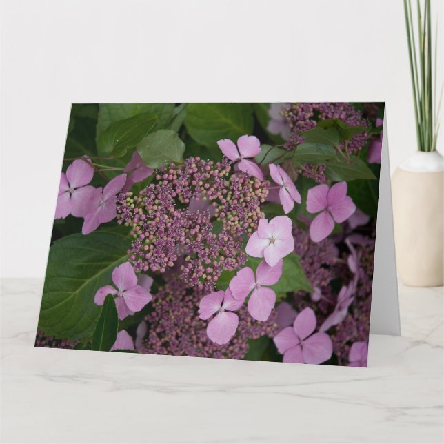 Tarjeta Hydrangea rosa (Anverso)