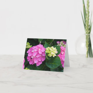 Tarjeta Hydrangea rosado Notecards