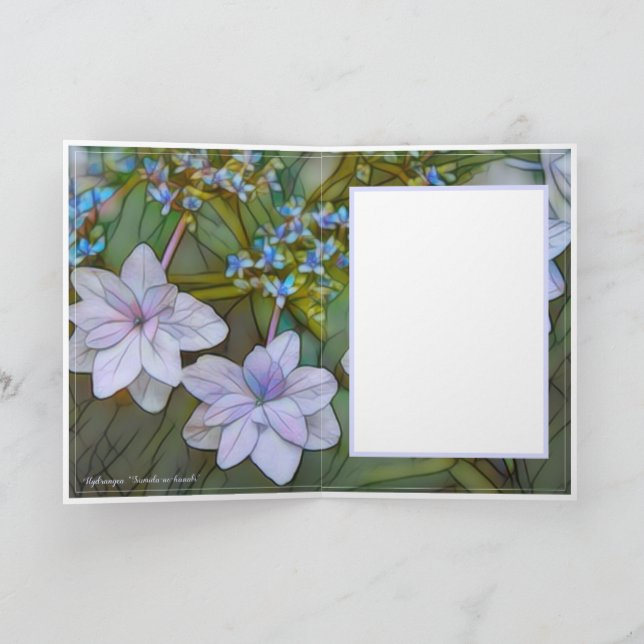 Tarjeta Hydrangea [Tarjeta de felicitación] カ ド (Interior)