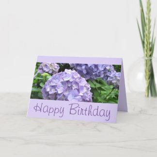 Tarjeta Hydrangeas en los jardines de Trebah, Cornualles