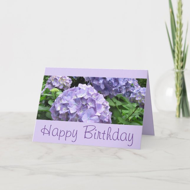 Tarjeta Hydrangeas en los jardines de Trebah, Cornualles (Anverso)