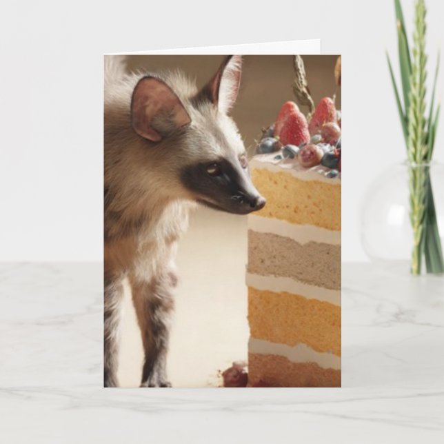 Tarjeta Hyena & Cake Curiosity Greeting Card (Anverso)