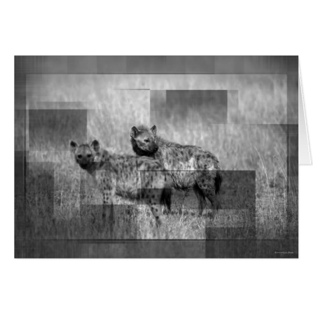 Tarjeta Hyenas (Anverso (Horizontal))