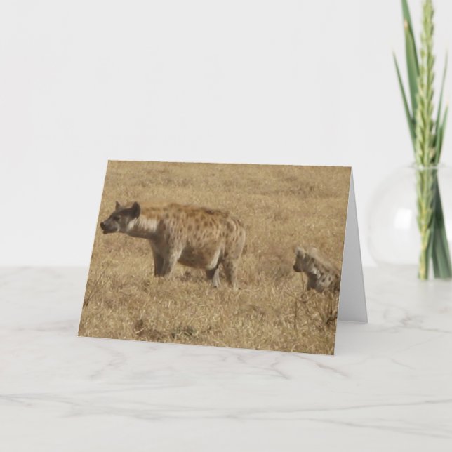 Tarjeta Hyenas (Anverso)
