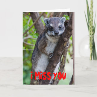 Tarjeta Hyrax del árbol, SRTA. YOU de I