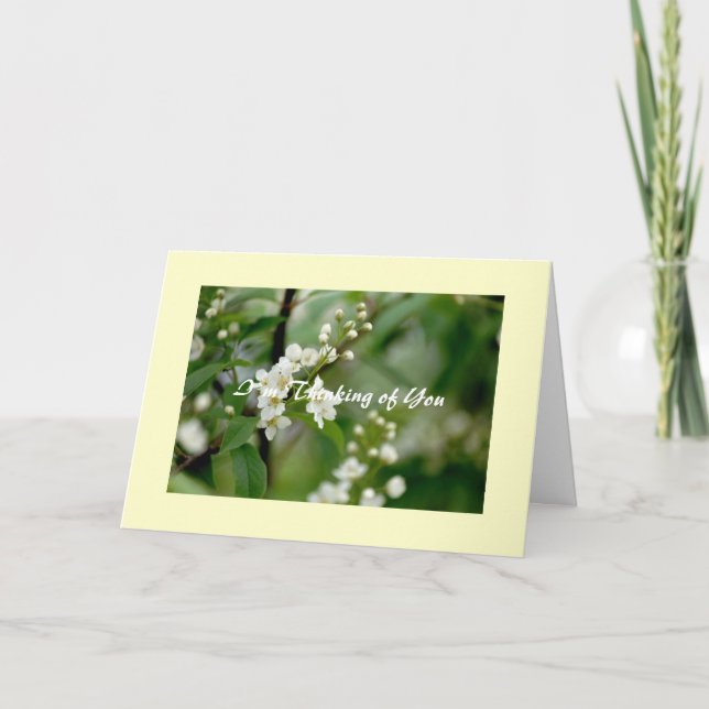 Tarjeta I ` m que piensa en usted (Anverso)