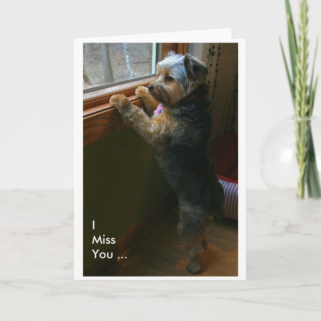 Tarjeta I Srta. You… (Anverso)