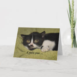 Tarjeta I Srta. You, gatito tímido del smoking